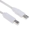 Kabel USB Złącze A USB A Złącze B USB B dł. 5m Przewód USB USB 2.0 kolor: Biały