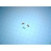 CL61DCD751 CITI N_A LED_SMD