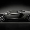 Pocher Lamborghini Aventador LP700-4 Roadster Nero Nemesis 1:8 Model samochodu