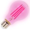 E27 Planty 9W A60 1300deg;K FGS 360deg; 230V filament