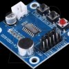 Developer boards - Recording/playback module, ISD1820