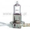 Żarówka samochodowa 24V/ 100W halogenowa H3