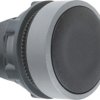 Pushbutton, unlabeled, unlit, groping, waistband round, black, front ring light gray, mounting Ø 22 mm, ZB5AA2C0