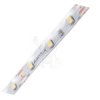 Taśma 3528 12V 5m/ 300 6500K IP65 8bi Kanlux 3100