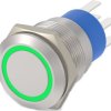 Vandal-proof pushbutton, 2 pole, silver, illuminated  (green), 5 A/250 V, mounting Ø 19.2 mm, IP67, 5-2213767-5