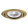 Oczko halogenowe, oprawa sufitowa punktowa, ruchoma ARGUS CT-2115-BR/M 12V 50W MR16 Gx5.3 IP20 matowy mosiądz 00330 KANLUX