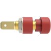 Schützinger IBU 5568 Au/RT Gold Socket Red 1pc Key Distinguishing Attributes
