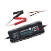 Prostownik everActive CBC-10 do akum. 12V/24V ładowarka automat.