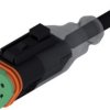 Connection cable, socket, 3 pole, straight to openend, 2m