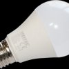 500650 LED lamp E27, 10 W, 810 lm, 3000 K