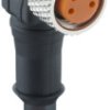 Sensor actuator cable, M8-cable socket, angled to open end, 3 pole, 5 m, PUR, black, 4 A, 0805 03 300 5M