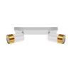 Ideus Spot Puzon 2Xgu10 2L White/Gold