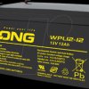 WPL12-12-M Rechargeable AGM battery, 12 V, 12 Ah, long-life
