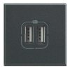AXOLUTE Ładwarka USB 1x2,4A lub 2X1,2A 5V DC 2 moduły antracyt HS4285C2