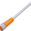 ifm Electronic EVW069 Kabel połączeniowy złącze żeńskie proste 5 m Ilość pinów: 3 1 szt.