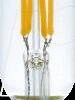 LX023812327 LED lamp E12, 3 W, 300 lm, 2700 K, filament, dimmable, clear