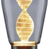 Żarówka LED Paulmann 28886 E-27 3.5 W = 10 W 90 lm złoty 1 szt.