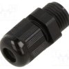 AIO-BSCS-21