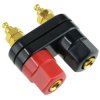 Dual 4mm Binding Post Socket