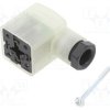 GDM31F6-S24-10D