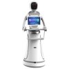 Alpha Robotics Amy Hospitality Delivery Robot