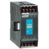 Moduł 2 X Analog., 4X Rtd Fbs-2A4rtd