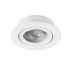 Oczko halogenowe, oprawa sufitowa punktowa ruchoma DALLA CT-DTO50-W 12V 50W MR16 Gx5.3 aluminium 22430 KANLUX