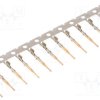 FKCP03401A