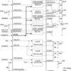 TPS65024x Power Management IC (PMIC) with 3 DC/DCs, 3 LDOs, I2C Interface and DVS | RHB | 32 | -40 to 85