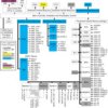 16/32 Bit RISC Flash MCU, Cortex R4F, EMAC | PGE | 144 | -40 to 105