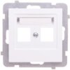 As Obudowa Gniazda Teleinformatycznego Podwójnego Biała Gpk-2G/P/00