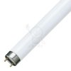 15W/827 L» 436 G13 T8 Philips 2784 TL-D
