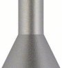 Bosch Accessories 2608599041 Wiertło do szkła i ceramiki 10 mm Długość całkowita 10 mm 1 szt.