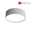 Abigali Plafon LED okrągły 390*50mm 20W 3000K, ABIGALI-MD1026-39-HBW