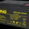 WPL65-12AN-M AGM battery, 12 V, 65 Ah, long-life