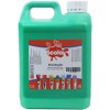 Scola DKAC2l/36 Scola First Acrylic 2L Brilliant Green