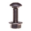 Śruba z łbem grzybkowym + nakrętka BTRCC6/20S4 CM801018 /100szt./