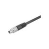 Binder 79-1421-15-07 Male 7 Pin with Shielded Moulded Terminal and 5m Cable