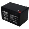 12V 12 Ah 15.1x9.8x10cm Extreme