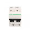 Wyłącznik nadprądowy C120N-C125-2 A9N18363