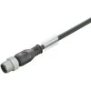 Sensor actuator cable, M12-cable plug, straight to open end, 3 pole, 0.1 m, PUR, black, 4 A, 1108800010