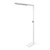 Lampa stojąca LED DOTLUX 4277-240080