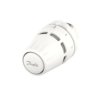 Głowica termostatyczna Regus cieczowa do zaworów M30x1.5 Danfoss 015G3630