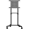 StarTech.com MBLTVSTNDEC Mobile TV Cart - Portable Rolling TV Stand for 37-70"