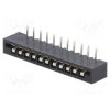 DS1020-11RT1D