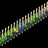 Raspberry Pi - GPIO header, 40-pin, RM 2.54, colour-coded