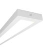 Oświetlenie awaryjne Ansell Lighting 40 W szerokość 180 mm Montaż powierzchniowy
