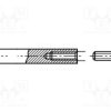 B3.5X15/BN551