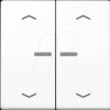 BTA17102PWW Bluetooth pushbutton, dual, alpine white, arrow symbols