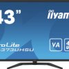 Monitor, 43cal, 3840 x 2160 ProLite, iiyama